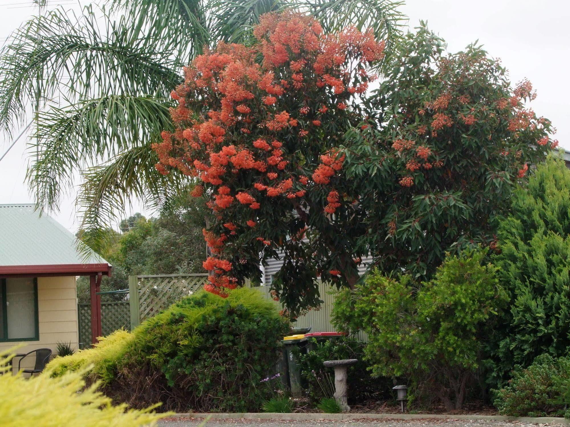 ฟิซิโฟเลีย ลอดจ์ Villa Parndana ภายนอก รูปภาพ